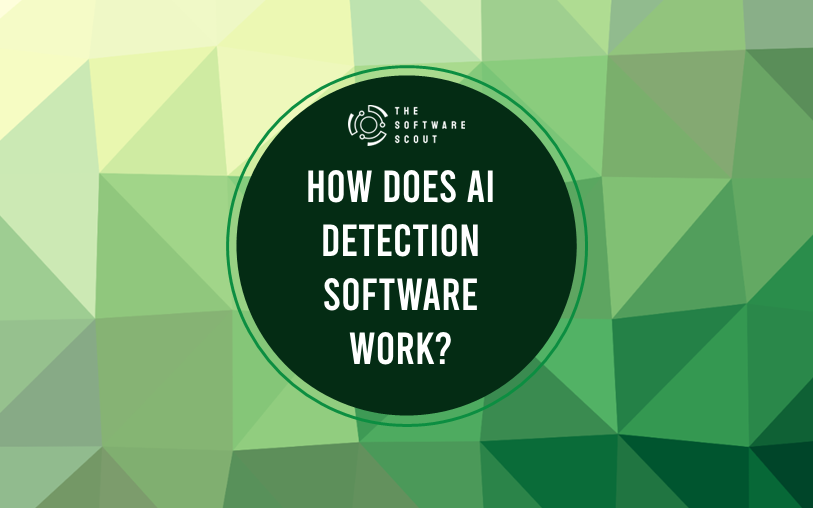 How does AI detection software work